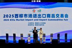 <strong>为区域经济高质量发入新动力</strong>